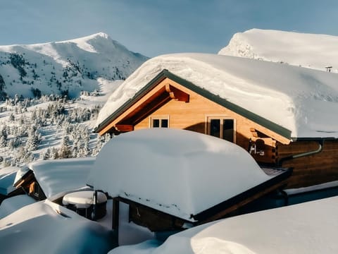 Heidi Chalets Falkertsee – Luxus für Familien & Wellnessurlauber Vacation rental in Carinthia, Austria