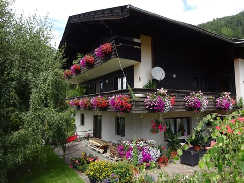 Phlox in Millstatt Apartment in Spittal an der Drau