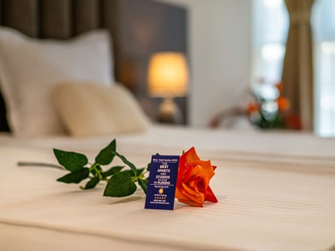 Luxuriöses Studio 8 Apartment in Plovdiv