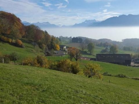 Studio in renoviertes Bauernhaus (3 Pers.) Apartment in Fribourg, Switzerland