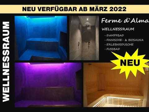 "Ferme d' Alma" Apartment in Switzerland