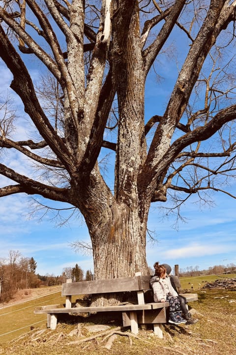 Spycher im Emmental Vacation rental in Canton of Bern (Region)