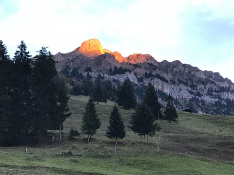 Hofuri, 1300m Vacation rental in Canton of Valais