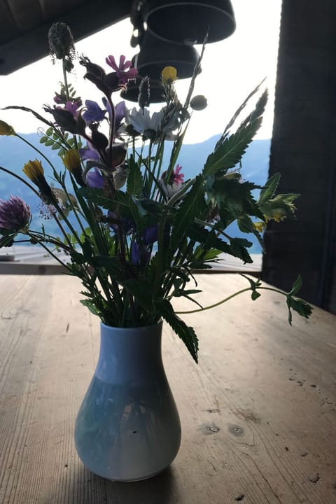 Hofuri, 1300m Vacation rental in Canton of Valais