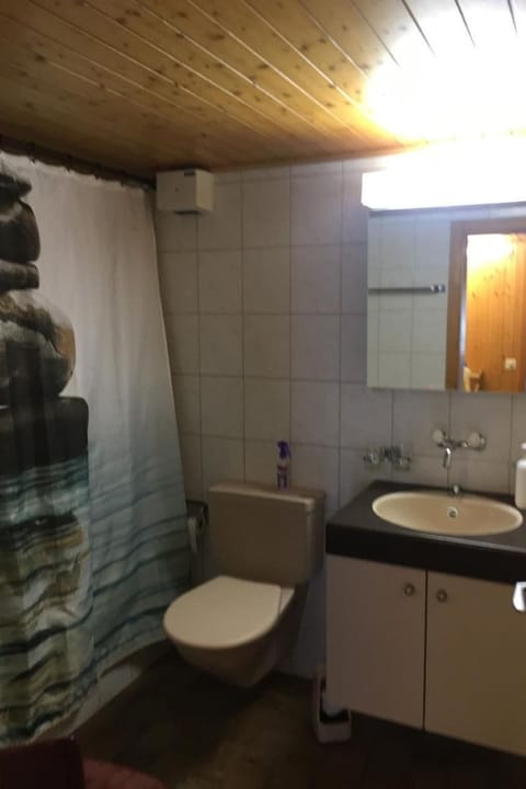 Frohmatt Apartment in Adelboden