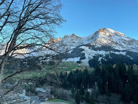 Chalet Cocoon Apartment in Adelboden