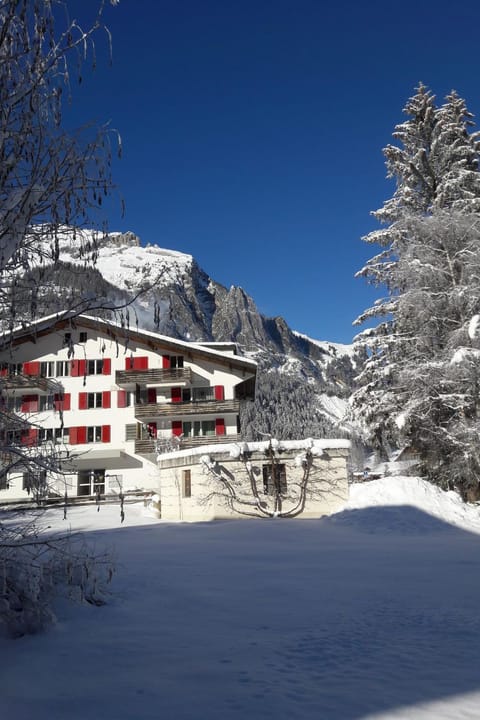 Property view