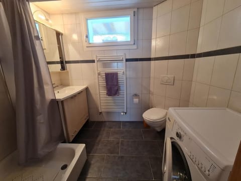 Heimelige Ferienwohnung im Naturpark Diemtigtal Apartment in Canton of Valais