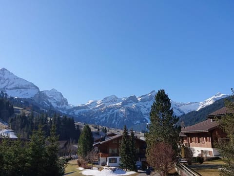 Chalet Wittebärg Apartment in Saanen