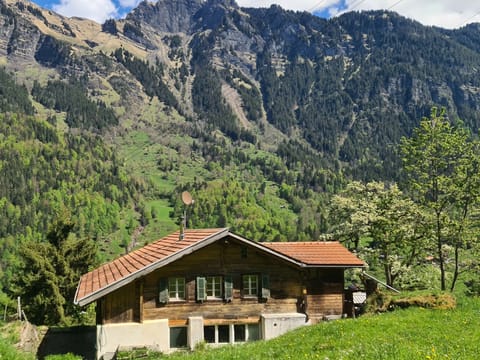 FF Bergmomente Apartment in Grindelwald