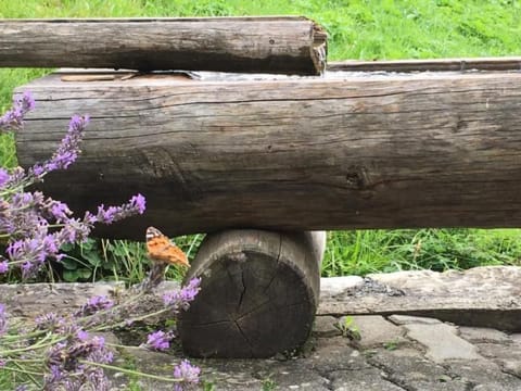 Chalet Bachsbort 14 Apartment in Grindelwald