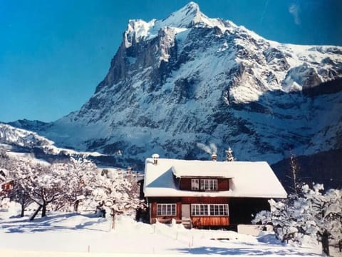 Beim Faulensee 2-Bett Wohnung  1. Stock Ost Apartment in Grindelwald
