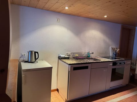 im grünen Apartment in Grindelwald