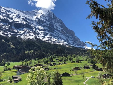 Chalet Gletscherfloh Vacation rental in Grindelwald