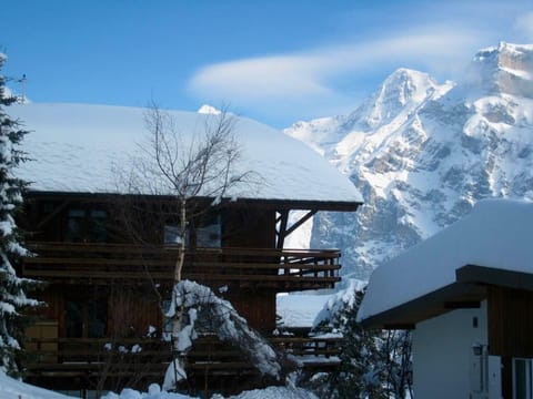 Panorama Luxury Apartment in Murren