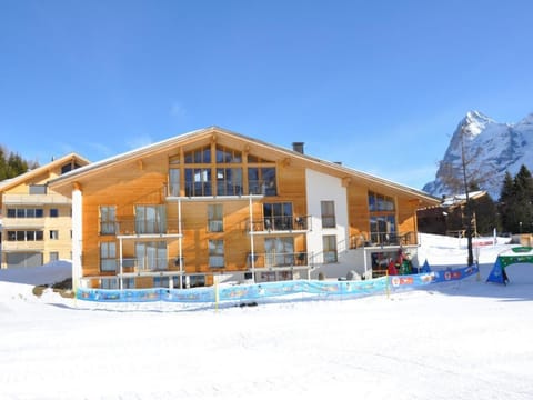 Finel Apartment in Murren