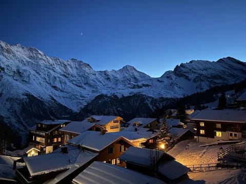 Chalet Soldanella Apartment in Murren