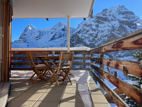 Nollen 6-Bett-Wohnung Apartment in Murren