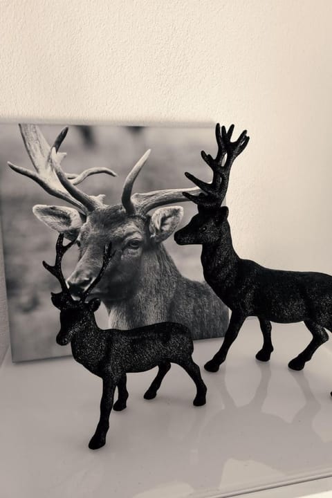 mountain view Apartment in Saas-Fee