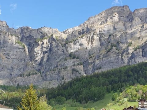 Appartement mit Bergblick und Dorf Apartment in Canton of Valais