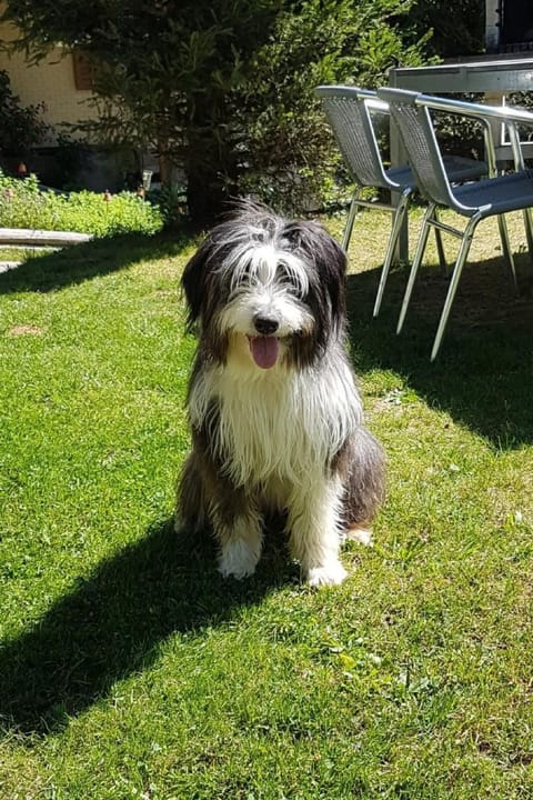 Biobauernhof Balm Apartment in Canton of Lucerne