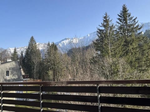 Haus Epsilon Vacation rental in Canton of Lucerne