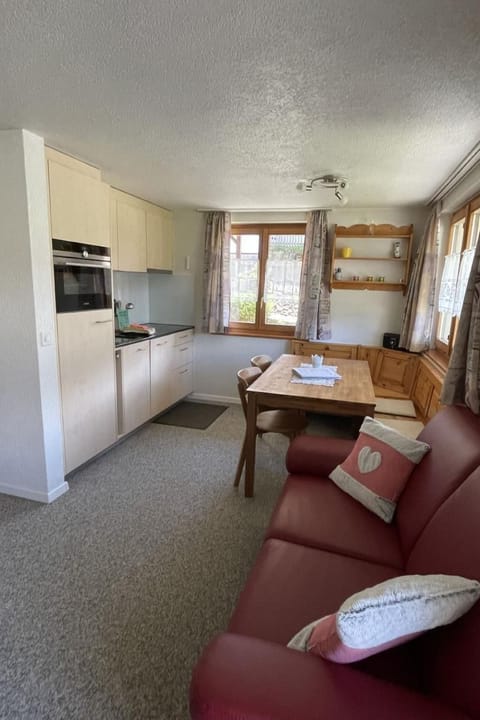 Chalet Schybi Apartment in Canton of Lucerne