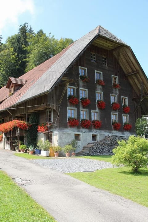 Altes Bauernhaus 1793 in Willisau Apartment in Canton of Lucerne