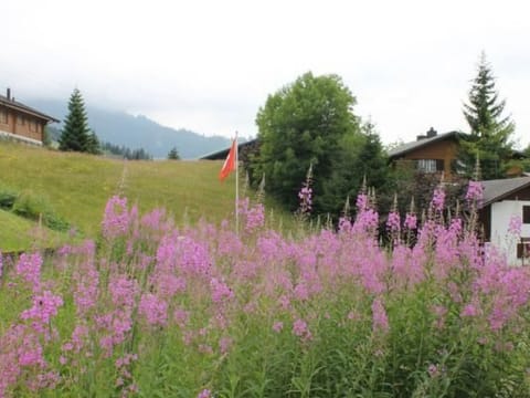 Bambi Apartment in Nidwalden