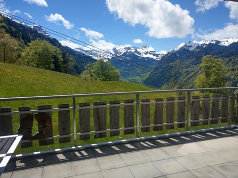 Oase im Engelbergertal zwischen Luzern & Engelberg Apartment in Nidwalden