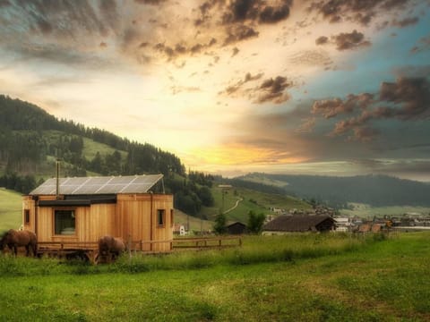 Walter Tiny House Vacation rental in Zug, Switzerland