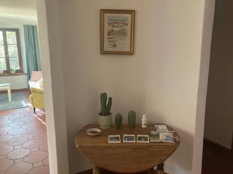 Haus al sasso Bellinzona Apartment in Bellinzona