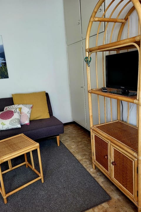 Casa Adelizia Apartment in Ascona