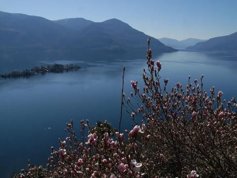 Casa Leula 2 1/2 Zimmerwohnung Apartment in Ascona
