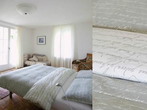 Villa Cresta Bianca Vacation rental in Ascona