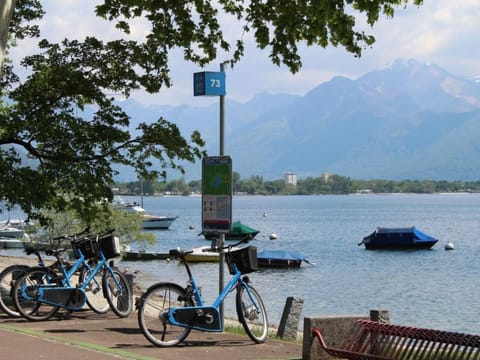 Wohnung mit blühender Terrasse, seenah Apartment in Locarno