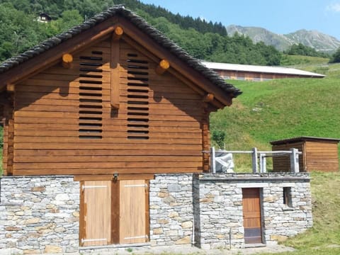 Rustico Valgrazia Vacation rental in Canton of Ticino