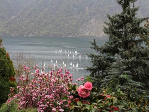 Viola Apartment in Lugano