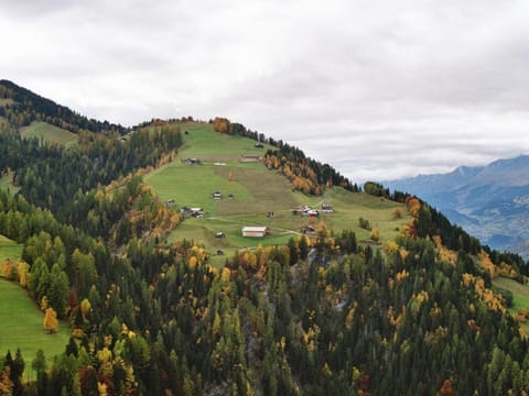 Altes Walserhaus Vacation rental in Canton of Grisons