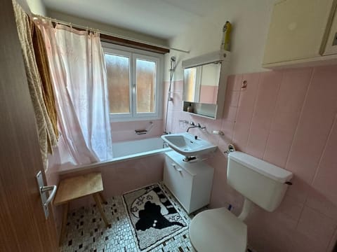 Casa la Fontauna Apartment in Canton of Grisons