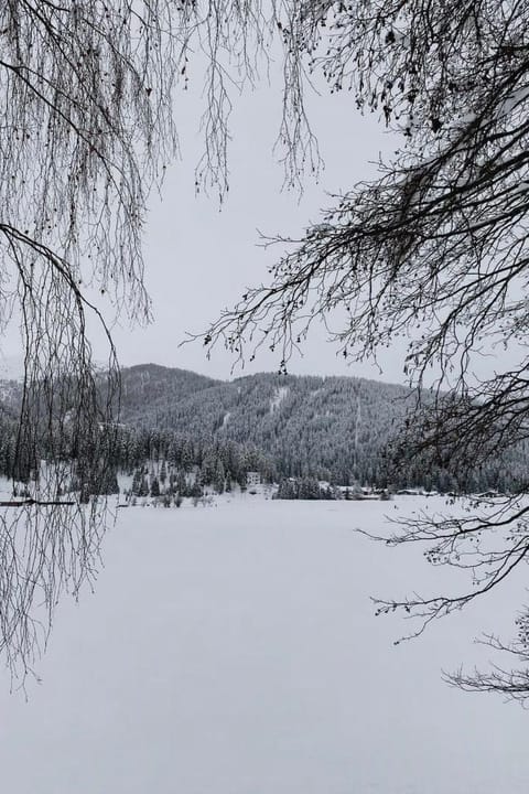 Residenz Davos von Swisspartments Apartment in Davos