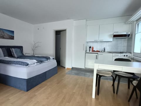 Falknis in Maienfeld mit Bergblick Apartment in St. Gallen, Switzerland