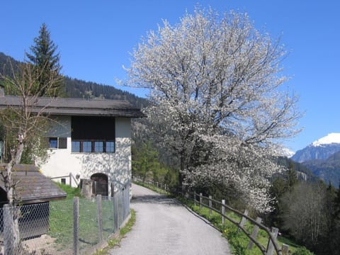 Staudenhof Viamala Vacation rental in Canton of Grisons