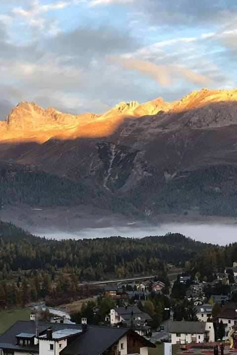Chesa Viola Dachwohnung Apartment in Samedan