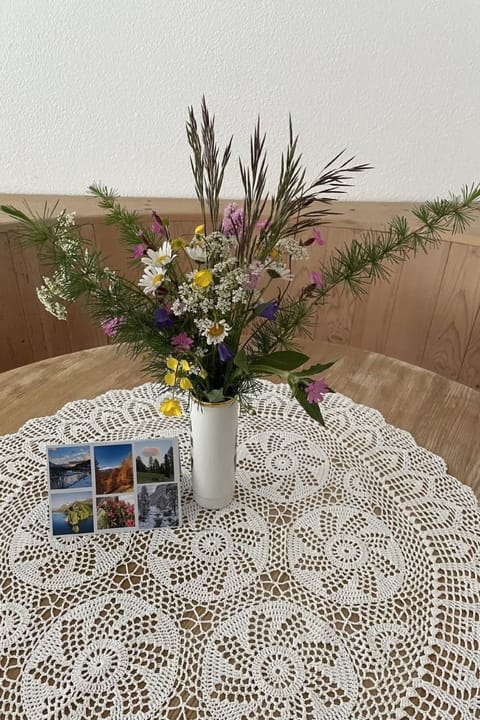 Chesa Islas, Wohnng 11 Apartment in Samedan