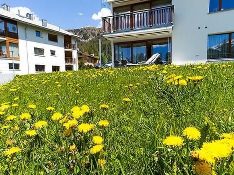 Chesa Rosatsch Apartment in Samedan