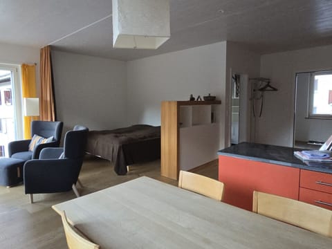 Studio Melchior Apartment in Samedan