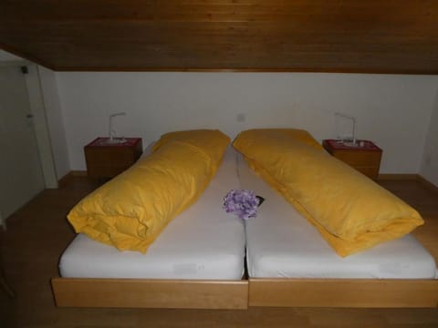 Carina 2 Apartment in Samedan