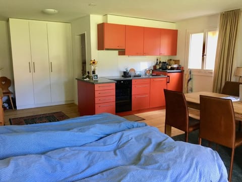 Chesa Muschna, Studio Melchior Apartment in Saint Moritz