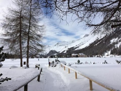 Chesa Rabgiusa 2 Apartment in Samedan